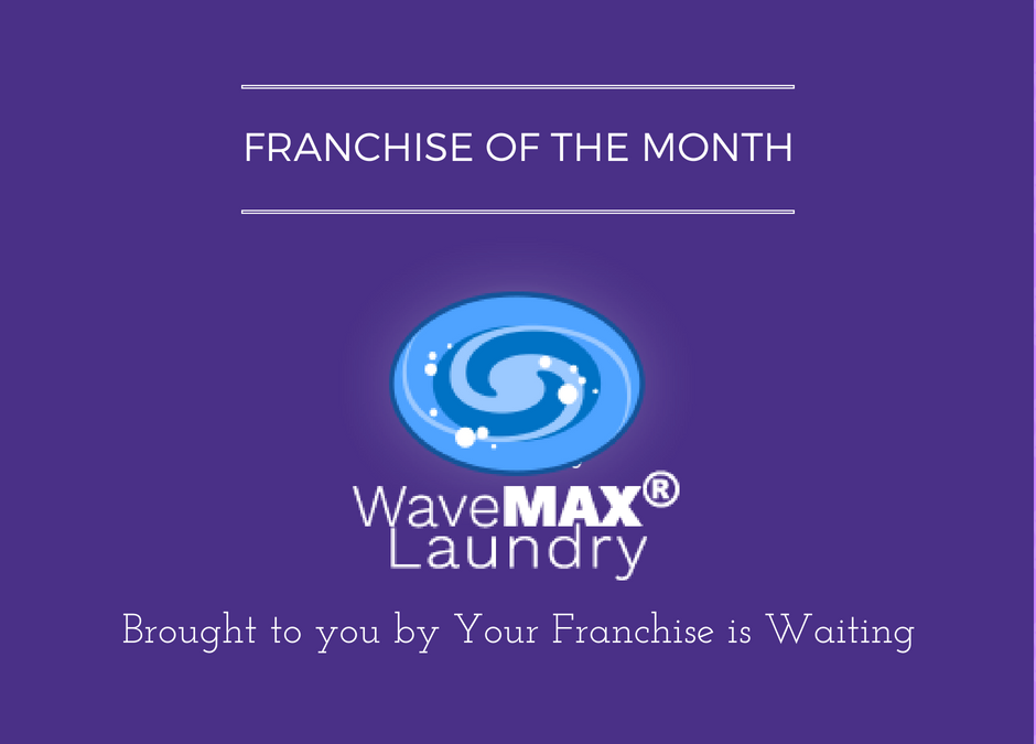Franchise of the Month – WaveMAX Laundry
