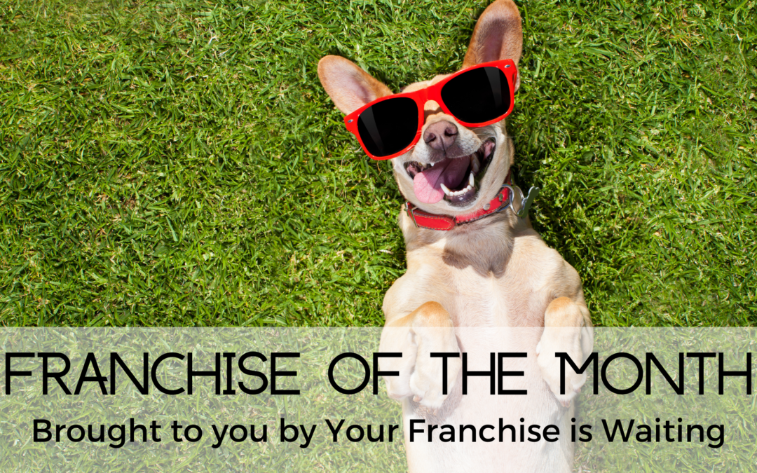 Franchise of the Month-August