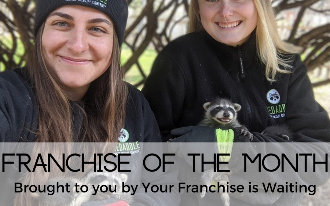 Franchise of the Month – October