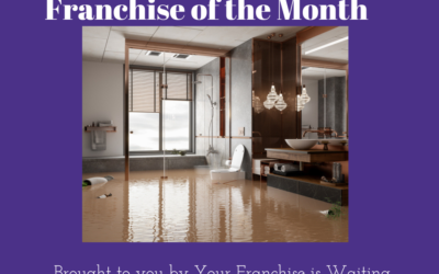 Franchise of the Month! – February 2023