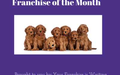 Who Doesn’t Love Puppies??  Franchise of the Month!