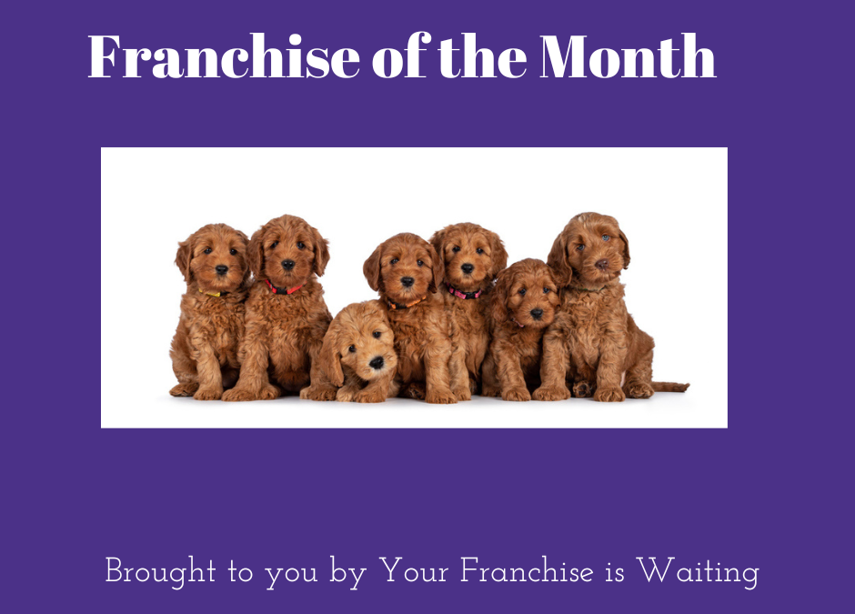 Who Doesn’t Love Puppies??  Franchise of the Month!