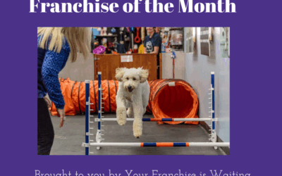 Franchise of the Month – September