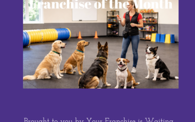 Why dog owners are paying thousands – happily