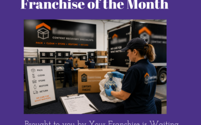 Franchise of the Month – A Niche Hiding in Plain Sight